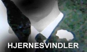Hjernesvindler (E-bog)