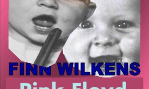 Pink Floyd i Fryseren (E-bog)